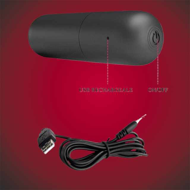 Vibrator tip Chiloti Pretty Love, Stimulare Clitoridiana, Design Subtil, Silentios, Waterproof